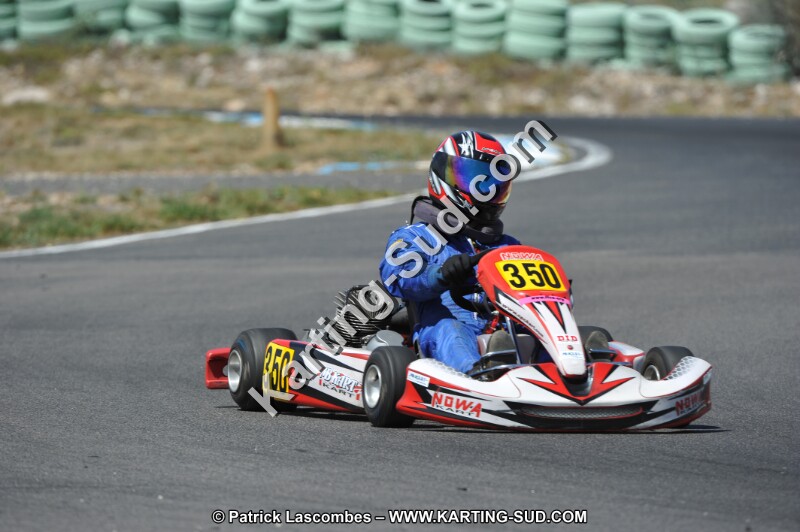 DSC (2930).JPG